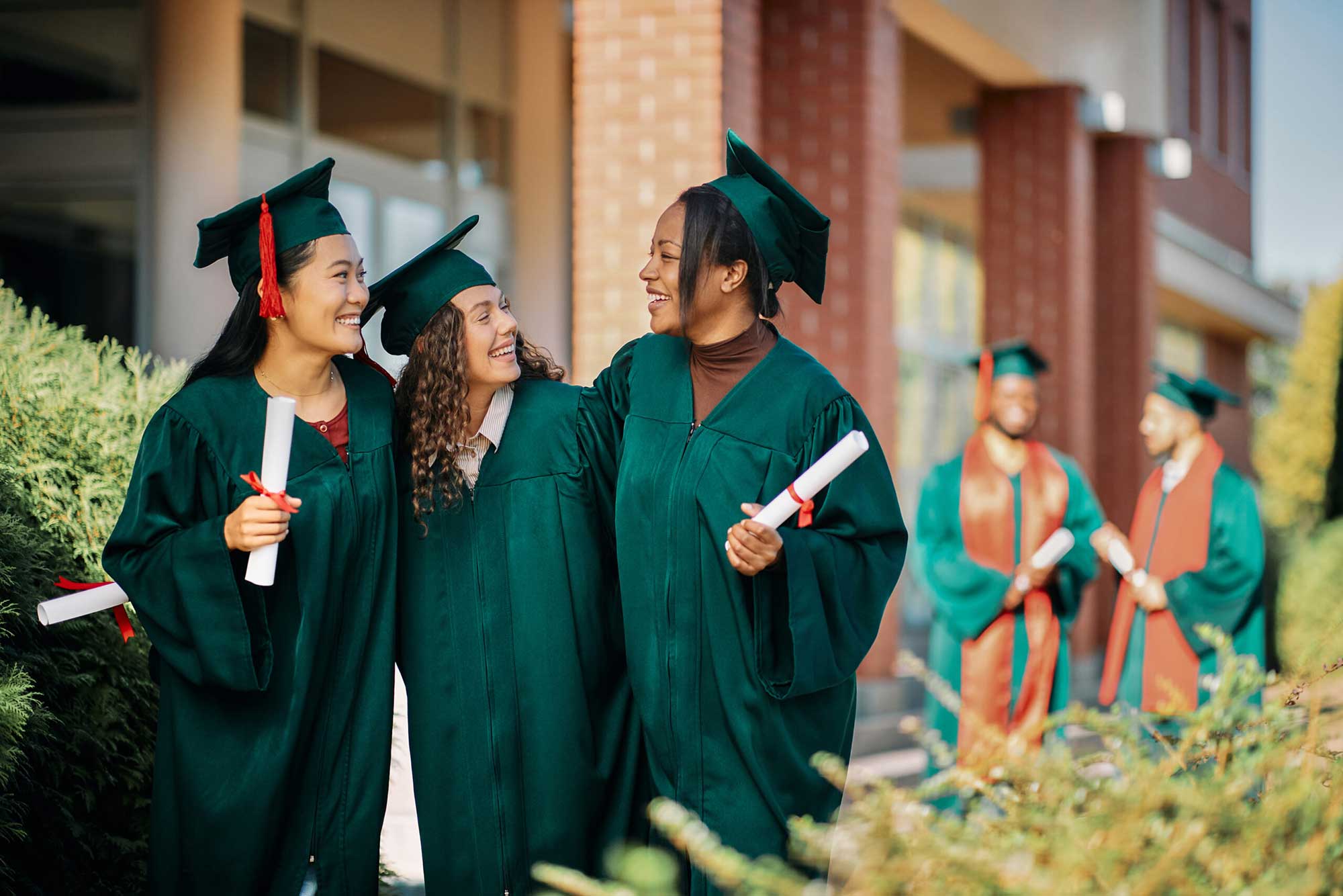 Higher Education