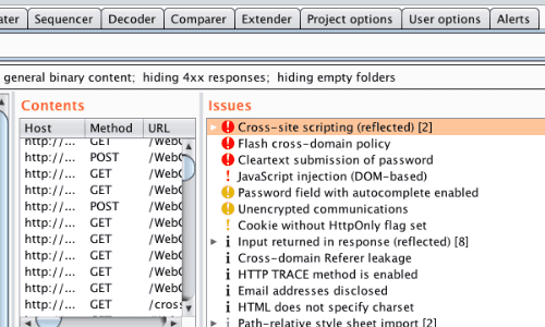 Burp Suite